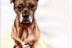 2025_BadArt_Portrait_0278
