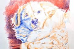 2025_BadArt_Portrait_0313