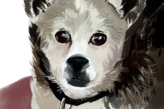 2025_BadArt_Portrait_0332