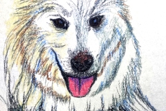 2025_BadArt_Portrait_0349