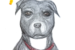 2025_BadArt_Portrait_0386
