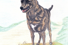 2025_BadArt_Portrait_0447
