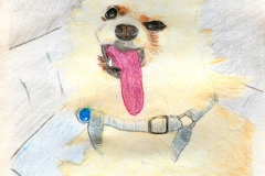 2025_BadArt_Portrait_0538