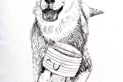 2025_BadArt_Portrait_0561