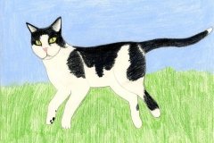 2025_BadArt_Portrait_0768