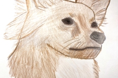 2025_BadArt_Portrait_0782