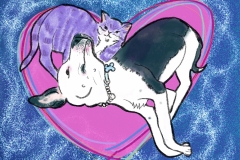 Dos Pet