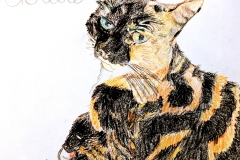 2025_BadArt_Portrait_0796