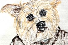 2025_BadArt_Portrait_0998
