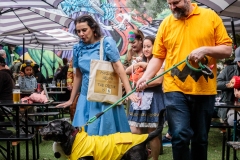 lucysnoopycharliebrown