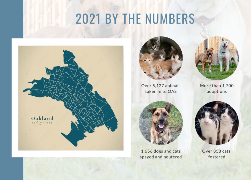 2021 by the numbers