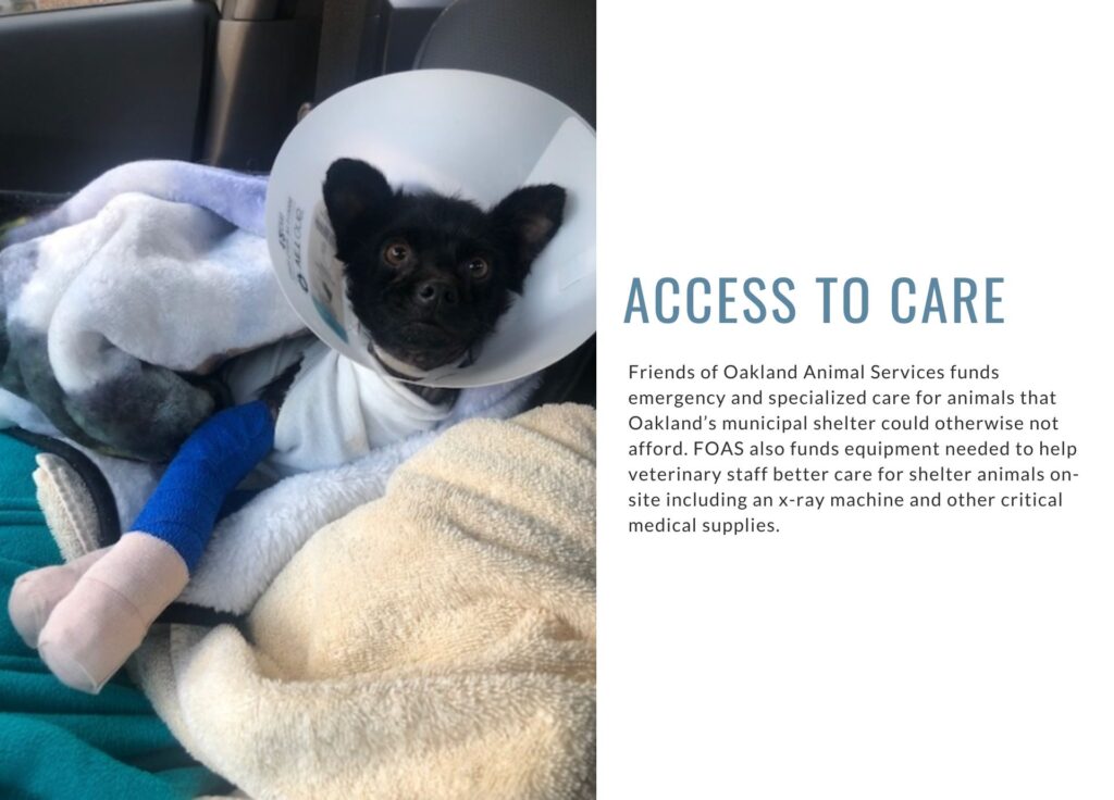 FOAS Access to Care