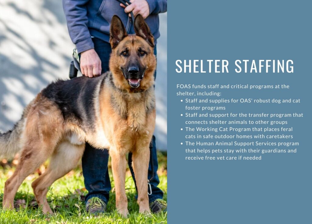 FOAS-funded OAS Shelter Staffing