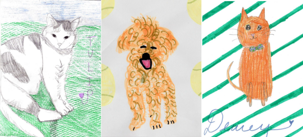 Get a one-of-a-kind pet portrait and help raise funds for Oakland Animal  Services