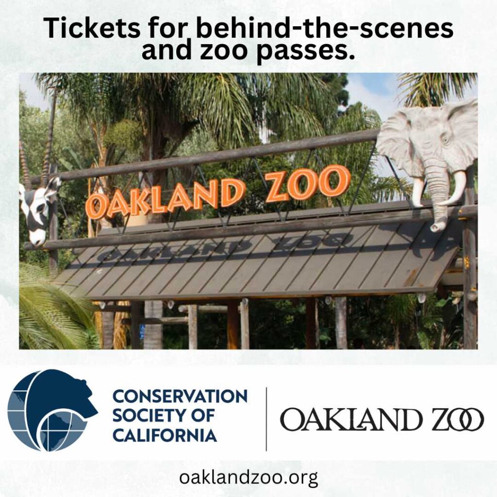 Oakland Zoo Gala raffle prize