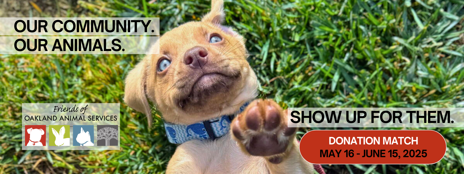 All Donations MATCHED May 16 through June 15!